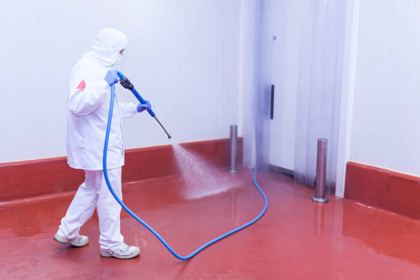 Best Boat and Dock Cleaning  in Irwin, PA